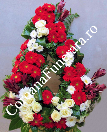 coroane funerare leucadendron