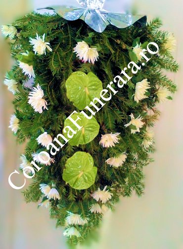 anthurium crizanteme