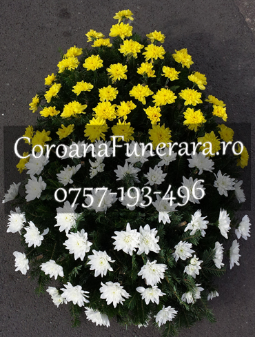 coroana 100 crizanteme