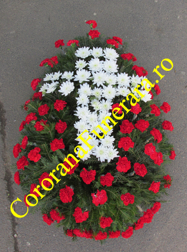 coroana 120 garoafe crizanteme