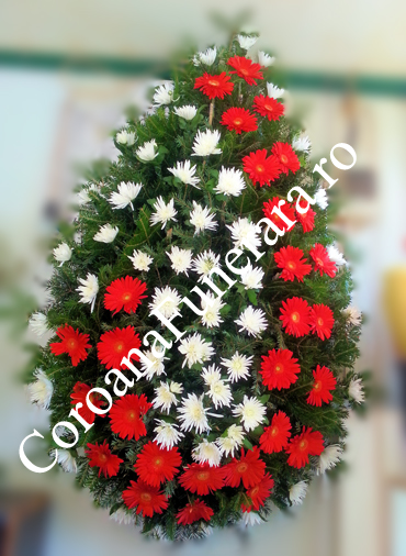 coroana gerbera semiluna