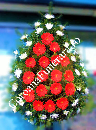 Coroana crizanteme si gerbera