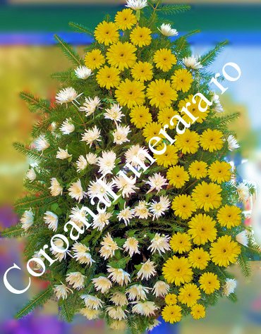 coroana crizanteme gerbera galbene