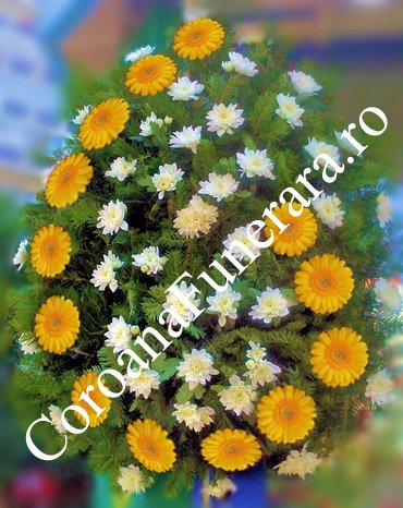 coroana crizanteme gerbera