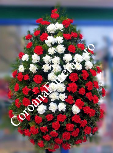 garoafe + crizanteme