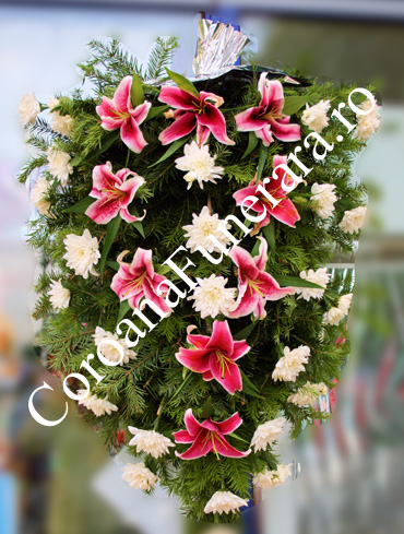 jerba crizanteme crini siclam