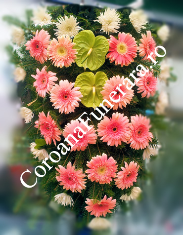 jerba flori gerbera crizanteme antuirum