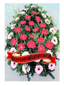 coroana flori din gerbera 80 fire