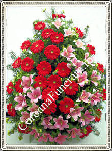 gerbera cu crini semiluna