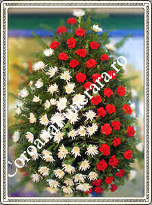 garoafe mare diagonala