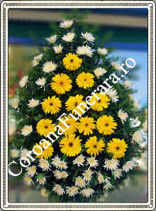 crizanteme cu gerbera