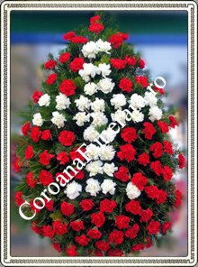 garoafe cruce