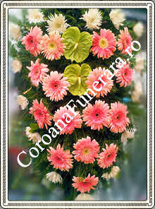 jerba funerara gerbera si anturium