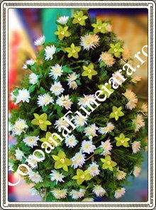 crizanteme orhidee
